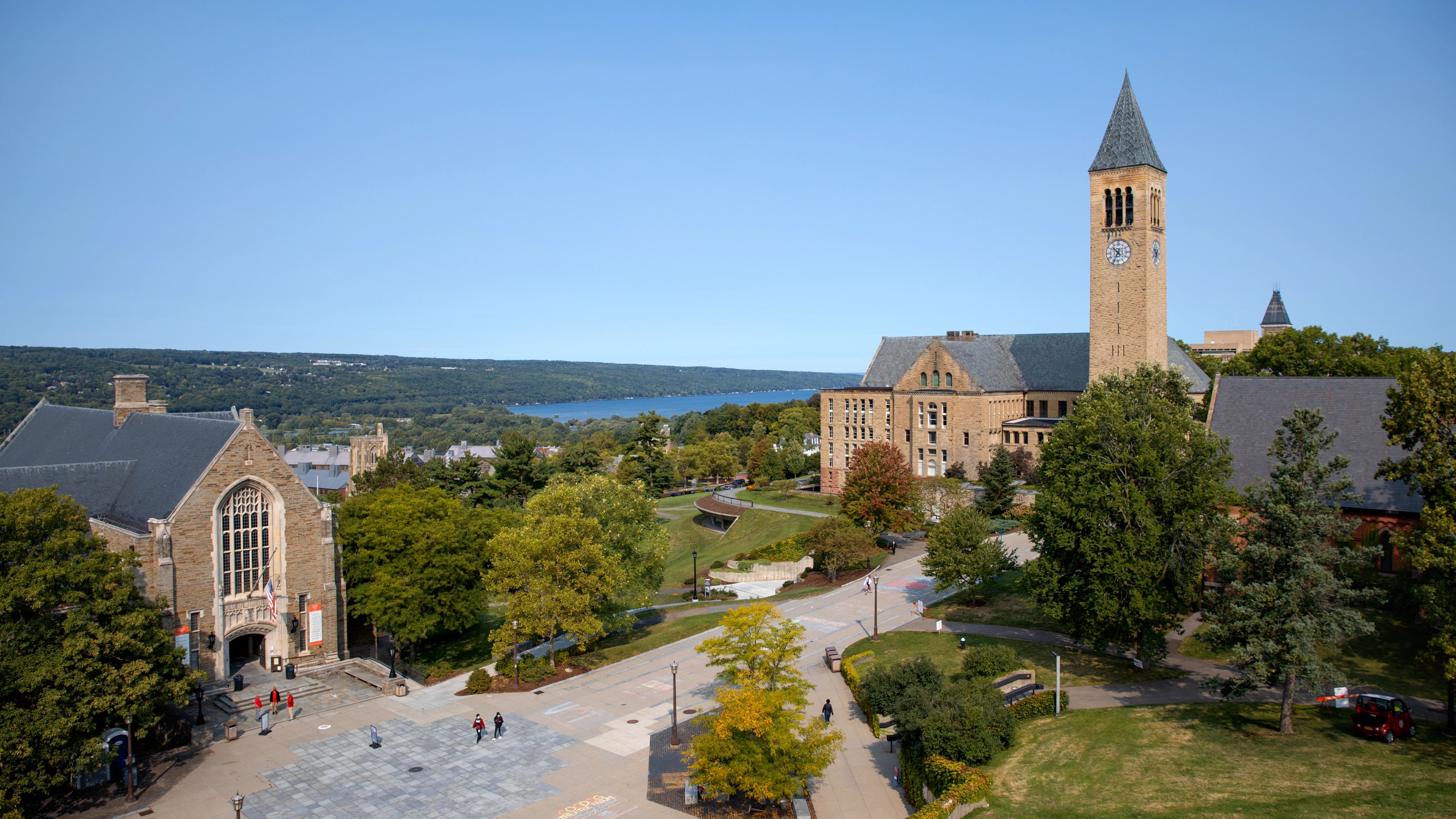 Cornell